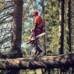 Motosierra a gasolina Husqvarna 372 XP - Imagen 2