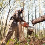 Motosierra a gasolina Husqvarna 460 Rancher - Imagen 3
