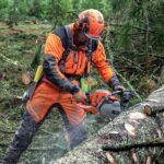 Motosierra a gasolina Husqvarna 545 Mark II - Imagen 2