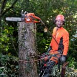 Motosierra a gasolina Husqvarna 545 Mark II - Imagen 4