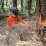 Motosierra a gasolina Husqvarna 585 - Imagen 2