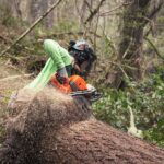 Motosierra a gasolina Husqvarna 585 - Imagen 4