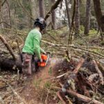 Motosierra a gasolina Husqvarna 585 - Imagen 6