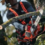 Motosierra de poda a batería Husqvarna T535i XP - Imagen 2