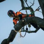 Motosierra de poda a batería Husqvarna T540i XP - Imagen 4