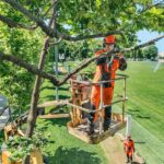 Motosierra de poda a gasolina Husqvarna T435 - Imagen 2