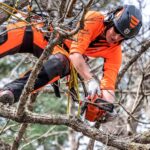 Motosierra de poda a gasolina Husqvarna T525 - Imagen 4
